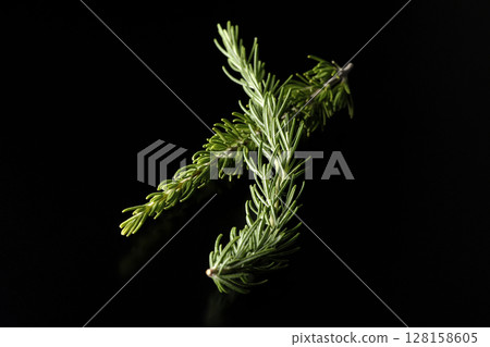 Rosemary leaves photographed against a black background 128158605