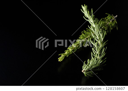 Rosemary leaves photographed against a black background Rosemary leaves photographed against a black background 128158607