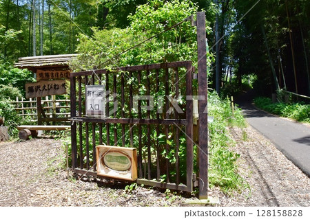 Kanagawa Prefecture, Fujisawa Ebine Yamayuri Garden entrance and fresh greenery Kanagawa Prefecture, Fujisawa Ebine Yamayuri Garden entrance and fresh greenery 128158828