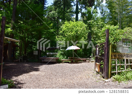 神奈川縣藤澤海老根山百合花園入口和新鮮的綠色植物 128158831