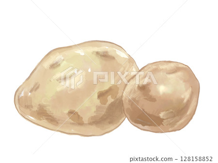 手繪水彩插圖的美味新鮮採摘的土豆 128158852