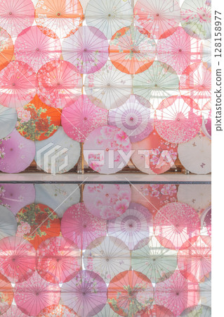 Parasols at Inawashiro Herb Garden 128158977