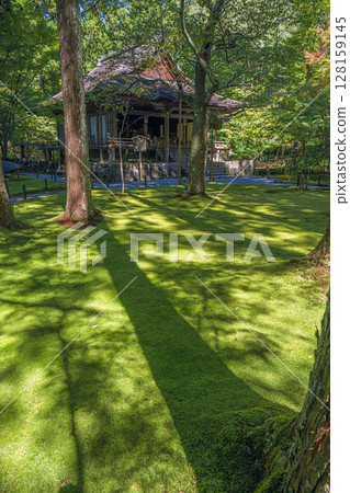 Kyoto Ohara Sanzenin Temple's beautiful mossy summer garden Kyoto Ohara Sanzenin Temple's beautiful mossy summer garden 128159145