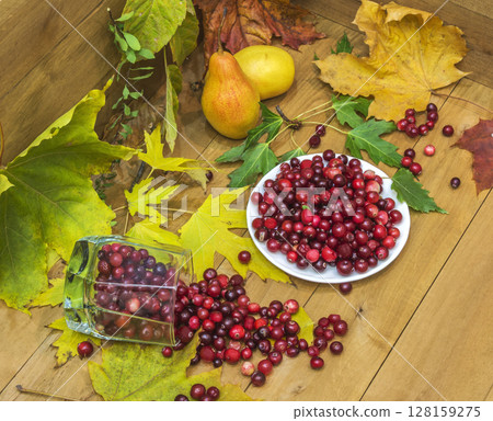 Still-life with cranberries, pears and autumn leaves 128159275