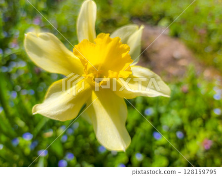 The gentle light of spring The gentle light of spring 128159795