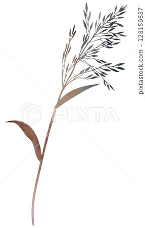 Watercolor dried stem with leaf and seeds in brown tones, boho autumn wedding isolated illustration 128159887
