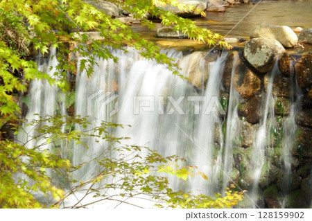 Summer foliage and a beautiful waterfall Summer foliage and a beautiful waterfall 128159902