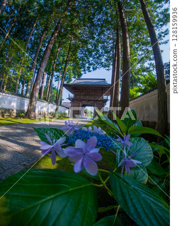 國分寺 國分寺 128159936