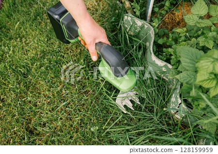 Hand trimming grass with cordless electric garden shears near plants Hand trimming grass with cordless electric garden shears near plants 128159959