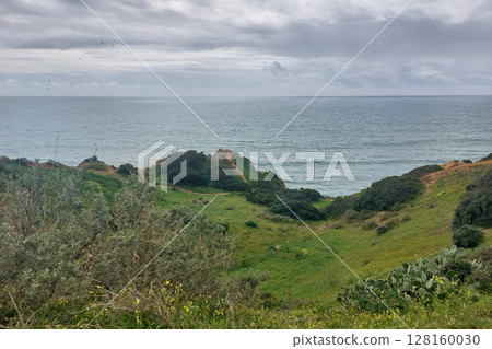 Coastal Cliffs Landscape with Overcast Sky and Lush Greenery Coastal Cliffs Landscape with Overcast Sky and Lush Greenery 128160030