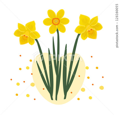 Composition of three daffodils, colorful illustration  128160055