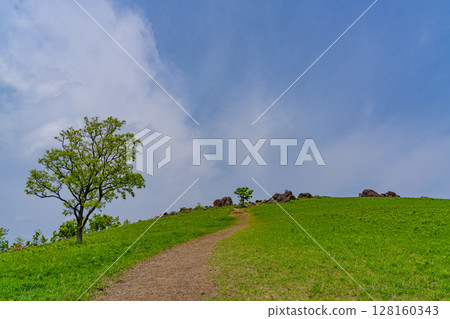 (Kumamoto Prefecture) Aso Oshitoishi Hill 128160343