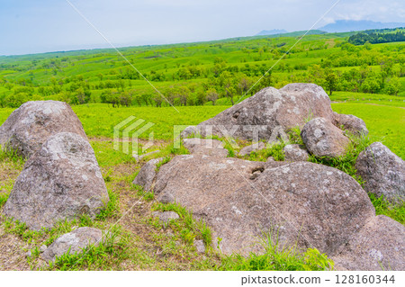 （熊本縣）阿蘇押東石丘 128160344
