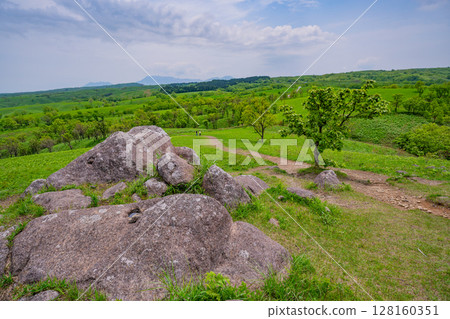 (Kumamoto Prefecture) Aso Oshitoishi Hill 128160351