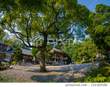 Zenrakutera Zenrakutera 128160486