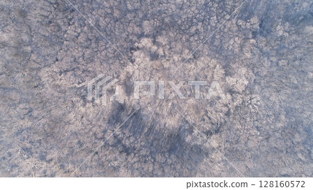 Aerial view of winter forest with snow 128160572