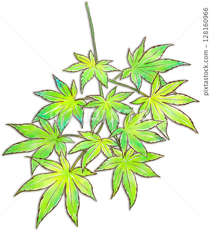新鮮的藍楓插圖 新鮮的藍楓插圖 128160966