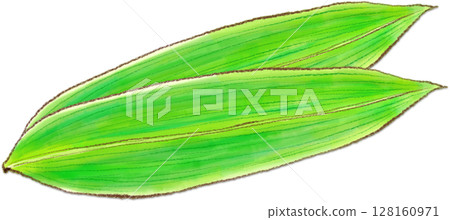 Two overlapping bamboo leaves 128160971