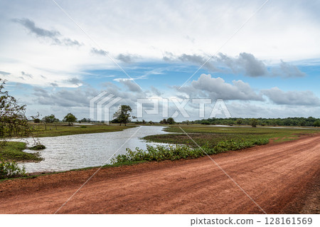 A rural property called Fazenda at Soure in Marajo Island, Brazil. Area of agricultural production. Non-urban area. 128161569