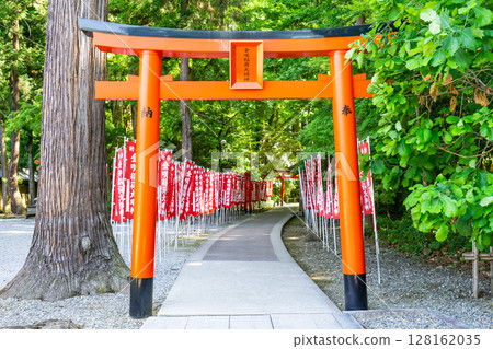 Taga Taisha Shrine (prayer for longevity), Taga Town, Inukami District, Shiga Prefecture, Kanesaki Inari Shrine (torii gate) 128162035