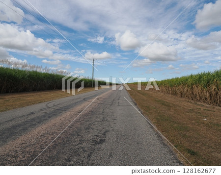 Between the sky and the fields - Brandon's single road Between the sky and the fields - Brandon's single road 128162677