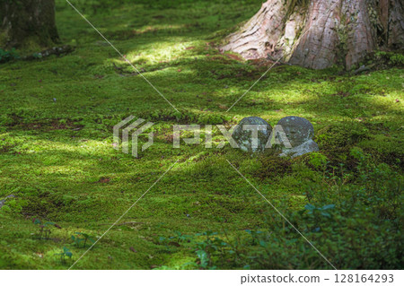 陽光透過樹梢照射下來的京都大原三千院地藏菩薩 128164293