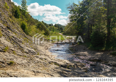 Mountain Stream Winding Through Rocky Forest Landscape Mountain Stream Winding Through Rocky Forest Landscape 128164395