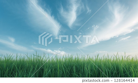 The contrast between the grassland and sky in early summer 128164414