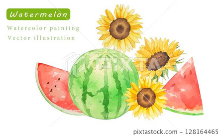 向日葵和西瓜水彩向量插圖 128164465