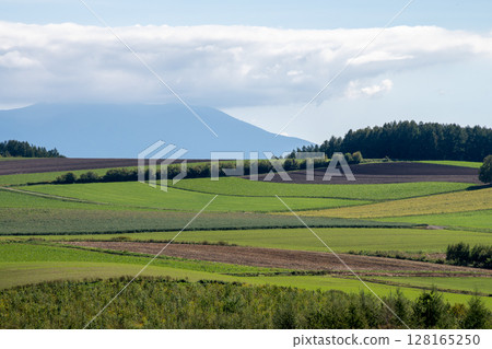Summer blue sky and green farmland 128165250