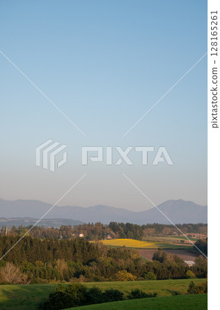Sunflower field on the hill 128165261