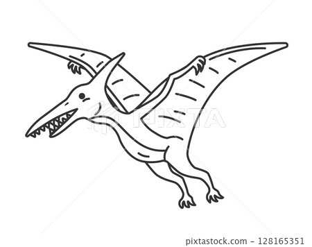 Illustration of the dinosaur Pteranodon (line drawing) Illustration of the dinosaur Pteranodon (line drawing) 128165351