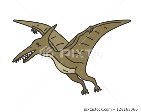 Illustration of the dinosaur Pteranodon (line drawing color) 128165360