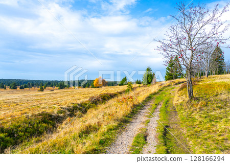 A tranquil pathway meanders through a vast autumn landscape, where golden grasses sway gently under a blue sky scattered with clouds, surrounded by trees showcasing vibrant fall colors. A tranquil pathway meanders through a vast autumn landscape, where golden grasses sway gently under a blue sky scattered with clouds, surrounded by trees showcasing vibrant fall colors. 128166294