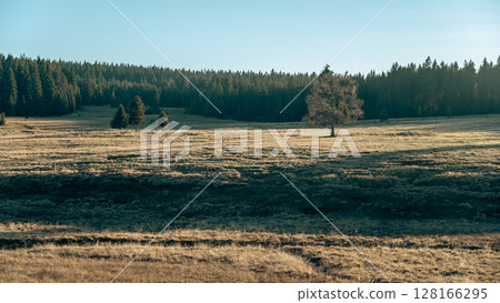 Vibrant autumn colors fill the landscape of the Ore Mountains, showcasing a serene meadow with a solitary tree amidst lush forested hills. The scene radiates tranquility and natural beauty. Vibrant autumn colors fill the landscape of the Ore Mountains, showcasing a serene meadow with a solitary tree amidst lush forested hills. The scene radiates tranquility and natural beauty. 128166295