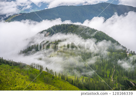 Low Tauern Mountain landscape showcases rolling hills shrouded in mist. Lush greenery and towering trees create a serene environment that invites exploration and adventure. 128166339