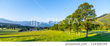 A breathtaking view of the Low Tauern mountains in Austria showcases lush green fields and vibrant trees. The clear sky adds to the tranquility of this picturesque setting, perfect for nature lovers. A breathtaking view of the Low Tauern mountains in Austria showcases lush green fields and vibrant trees. The clear sky adds to the tranquility of this picturesque setting, perfect for nature lovers. 128166345