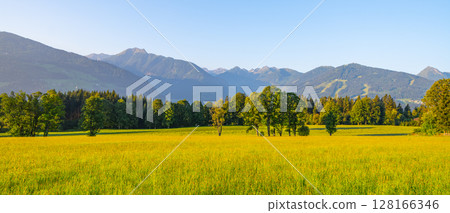 Rolling green fields and vibrant trees greet the eye in a summer landscape in the Low Tauern Mountains of Austria. The majestic peaks rise in the distance under a clear blue sky. Rolling green fields and vibrant trees greet the eye in a summer landscape in the Low Tauern Mountains of Austria. The majestic peaks rise in the distance under a clear blue sky. 128166346