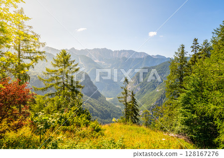 Lush green trees frame a breathtaking view of the Julian Alps during a bright summer day. The sunlight illuminates the rugged peaks and valleys, highlighting their natural beauty. Lush green trees frame a breathtaking view of the Julian Alps during a bright summer day. The sunlight illuminates the rugged peaks and valleys, highlighting their natural beauty. 128167276