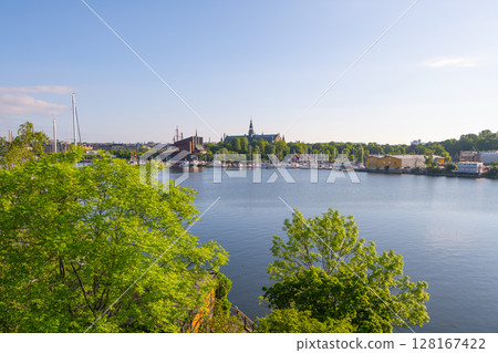 A serene view of Djurgarden island, featuring museum buildings against a clear blue sky with lush greenery in the foreground and calm waters. 128167422