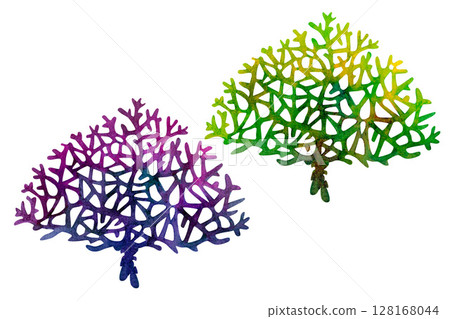 Green and purple fire coral. Watercolor illustration of multicolored reticulated fire coral isolated on white background for marine design, snorkeling, diving, book, art, craft, textile. 128168044