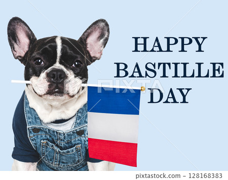 Happy Bastille Day. Lovable, pretty dog and French Flag Happy Bastille Day. Lovable, pretty dog and French Flag 128168383
