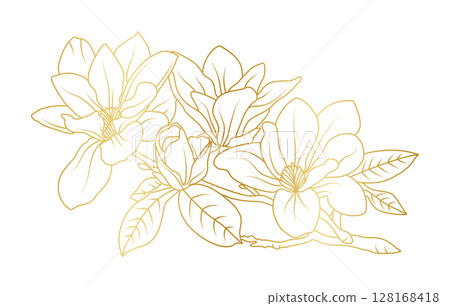 Golden magnolia flowers line art isolated on white background. Luxury magnolia floral design elements for invitation, wedding, wallpaper, print template, vector illustration 128168418
