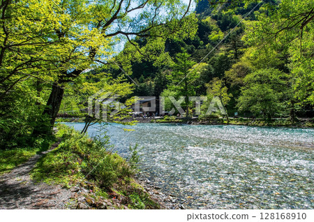Refreshing Kamikochi! The beautiful flow of the Azusa River and fresh greenery Refreshing Kamikochi! The beautiful flow of the Azusa River and fresh greenery 128168910