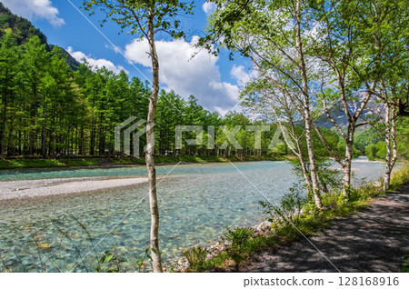 Refreshing Kamikochi! The clear waters of the Azusa River and a promenade surrounded by fresh greenery Refreshing Kamikochi! The clear waters of the Azusa River and a promenade surrounded by fresh greenery 128168916
