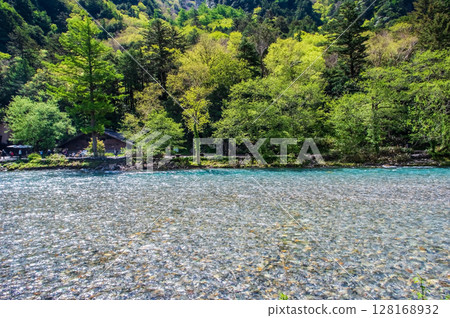 清爽的上高地！梓川的清澈水流和樹木的鮮綠 128168932