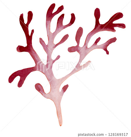 Watercolor sketch of light purple fantasy branch of seaweed  128169317