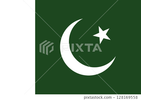 Pakistan flag. Official colors and proportions. 128169558