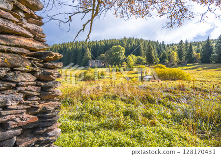 The remnants of the Konigsmuhle settlement reveal a tranquil landscape in the Ore Mountains, Czechia, surrounded by lush greenery and towering trees under a cloudy sky. 128170431