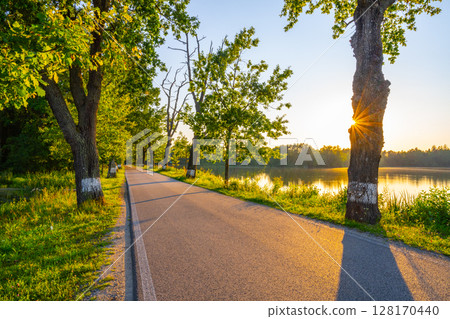 This alley road is lined with trees on a sunny summer evening, with sunlight streaming through the foliage. The quiet path invites leisurely walks next to a serene water body. This alley road is lined with trees on a sunny summer evening, with sunlight streaming through the foliage. The quiet path invites leisurely walks next to a serene water body. 128170440